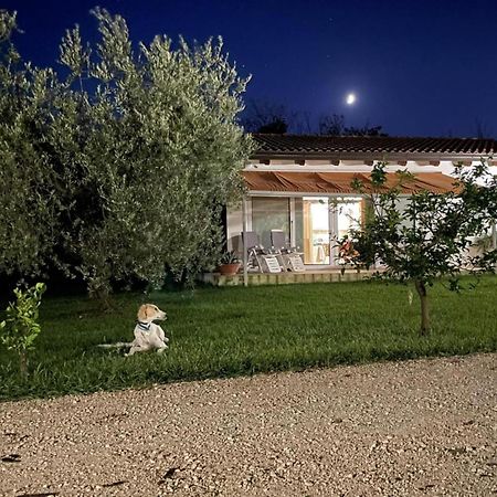 Villetta Bianca Pisticci-Matera Esterno foto