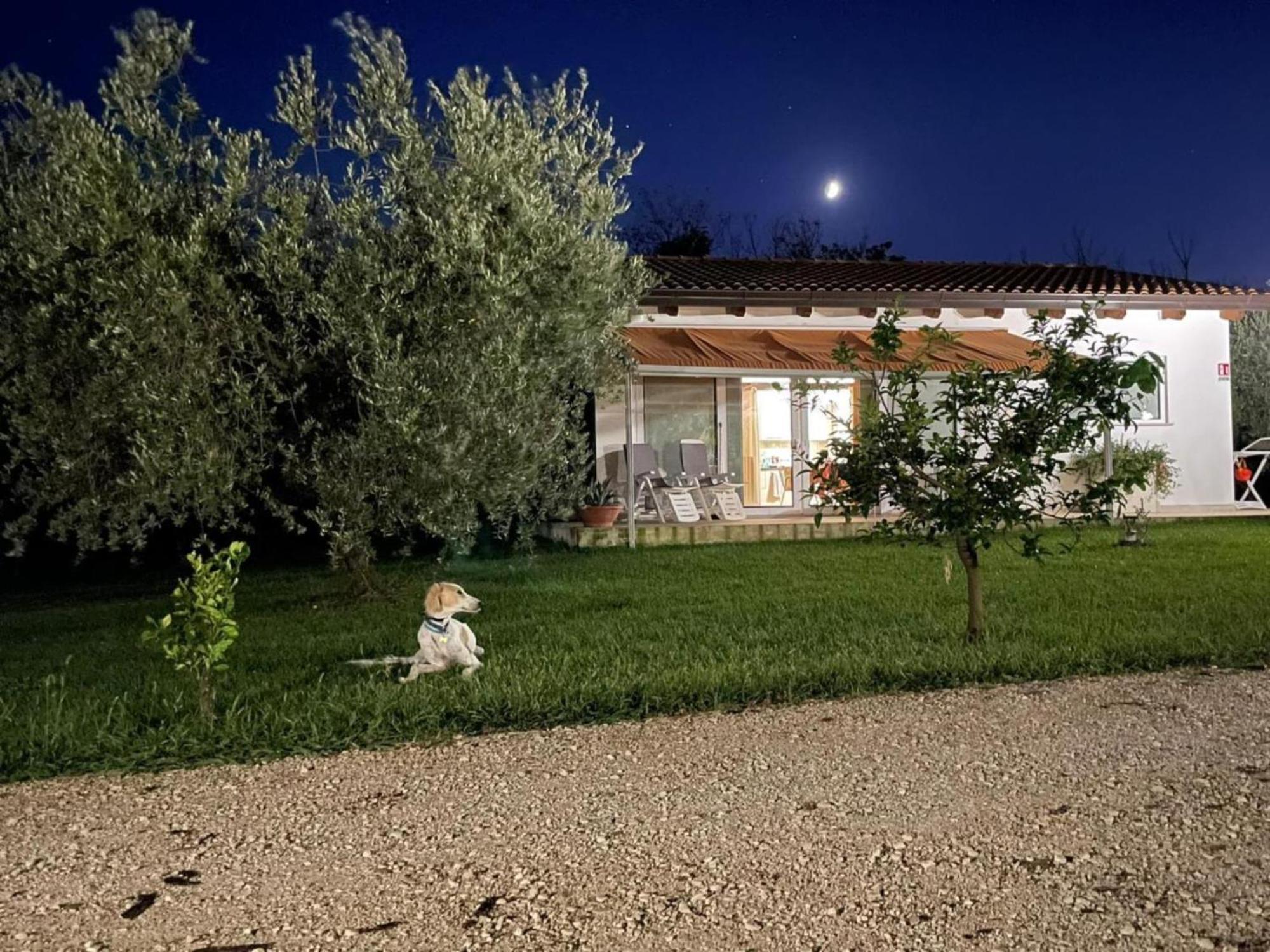 Villetta Bianca Pisticci-Matera Esterno foto